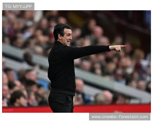 阿斯顿维拉2025年欧战主场全胜，埃梅里战术获肯定